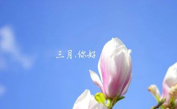 三月总结报告6篇