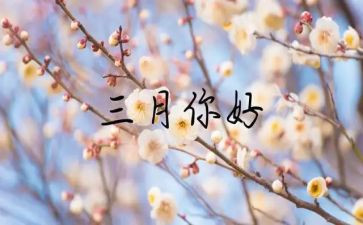 幼儿园小班三月工作计划5篇
