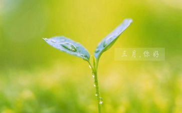 中班三月份工作总结5篇