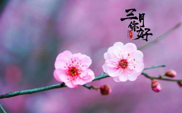 三月份的工作总结5篇