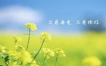 幼儿园三月份工作计划7篇
