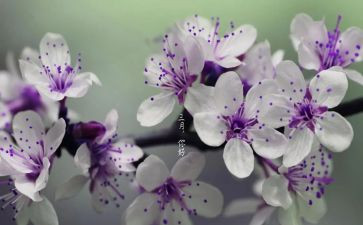 三月份的工作总结优质7篇