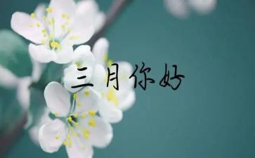 三月份总结报告6篇