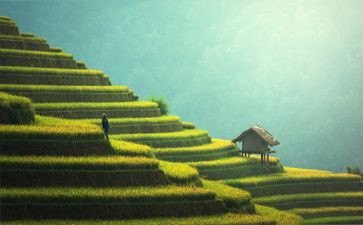 扫墓400字作文优秀8篇
