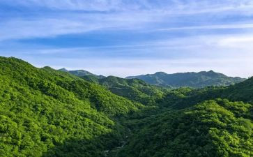小猫秘密山洞读后感8篇