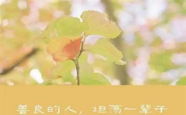 小学生百善孝为先演讲稿6篇