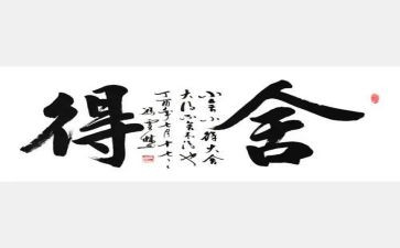 舍得读后感8篇