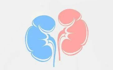肾内科年终总结优质5篇