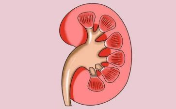肾内科医生述职报告模板8篇