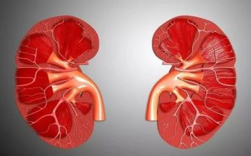 肾内科医生述职报告优秀8篇
