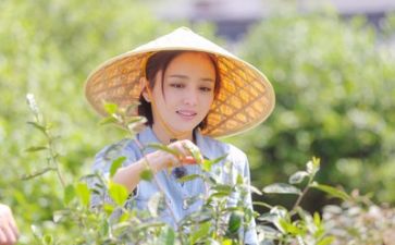 生活部的工作个人总结5篇