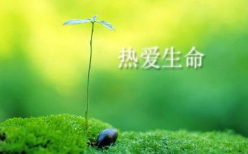 珍爱生命健康教案8篇