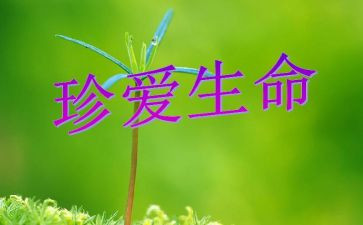 珍爱生命发言稿范文6篇