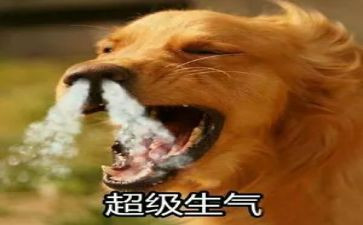 爱生气的她作文优质8篇