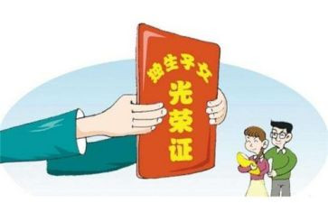 独生证申请书6篇