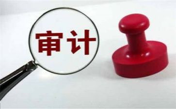 审计员年终工作总结8篇