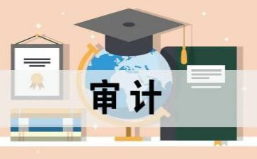 审计员的年度工作总结通用5篇