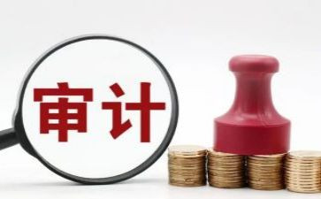 审计站工作计划通用8篇