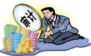 审计2024年工作总结参考6篇
