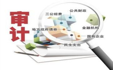 市审计局工作总结5篇