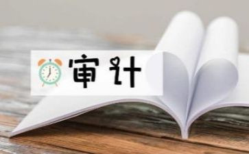 审计员的年度工作总结7篇