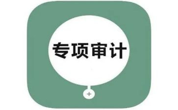 审计的工作总结优秀8篇
