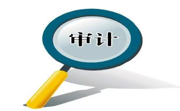 审计员年终工作总结推荐8篇