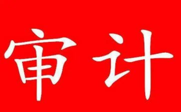 局审计工作计划参考5篇