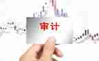 审计员的个人总结7篇