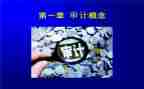 审计述职报告7篇