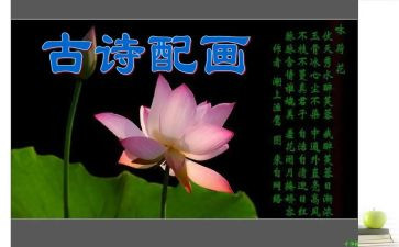 大班诗教案和反思参考5篇