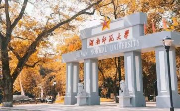 师范生实习工作总结模板5篇