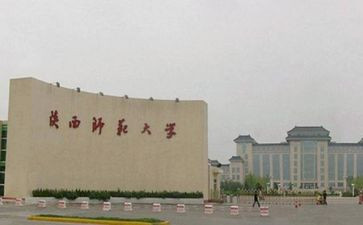 学师范工作总结6篇
