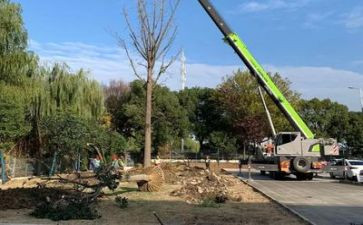 施工员个人总结工作总结通用8篇