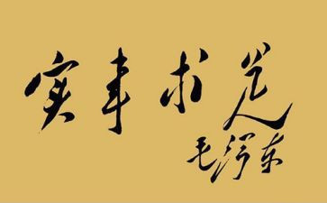 做实事事迹材料8篇