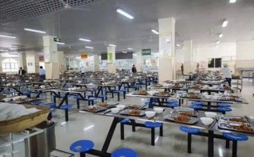 关于食堂的调查报告8篇