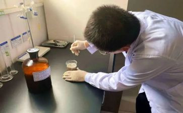 试验室个工作总结最新5篇