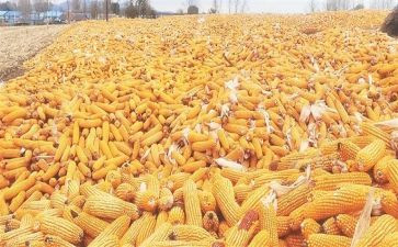 谈收获心得体会最新5篇