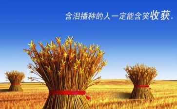 高中军训收获心得体会6篇