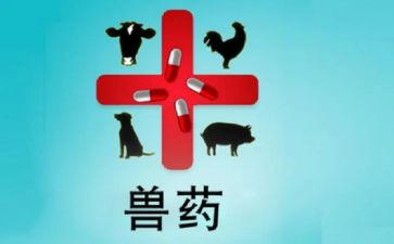兽药店活动促销方案策划6篇