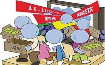 关于双11的调查报告5篇