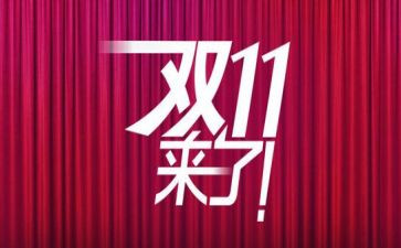 双11客服工作总结推荐5篇