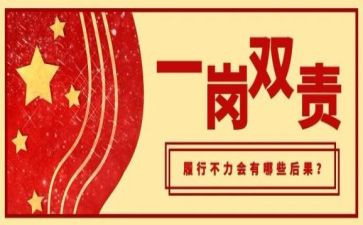 一岗双责述职报告5篇