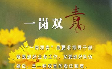 落实一岗双责自查报告8篇
