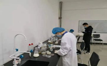 水化验工作半年工作总结7篇