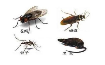 杀四害工作计划参考8篇