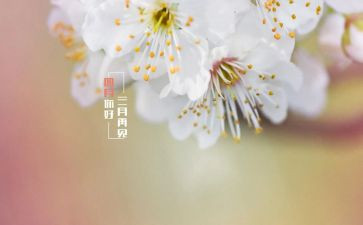 四月读书日活动方案6篇