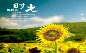 《岁月如歌》作文优质8篇