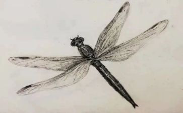 素描课工作总结7篇