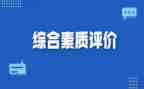 素质综合评价个人总结7篇